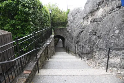 DSC_6385 (Large).JPG